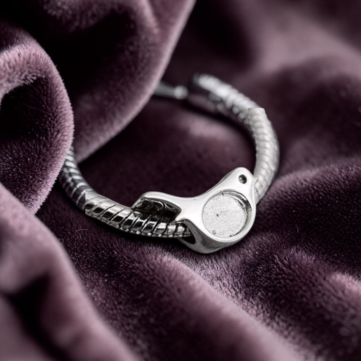 ROBIN CHARM